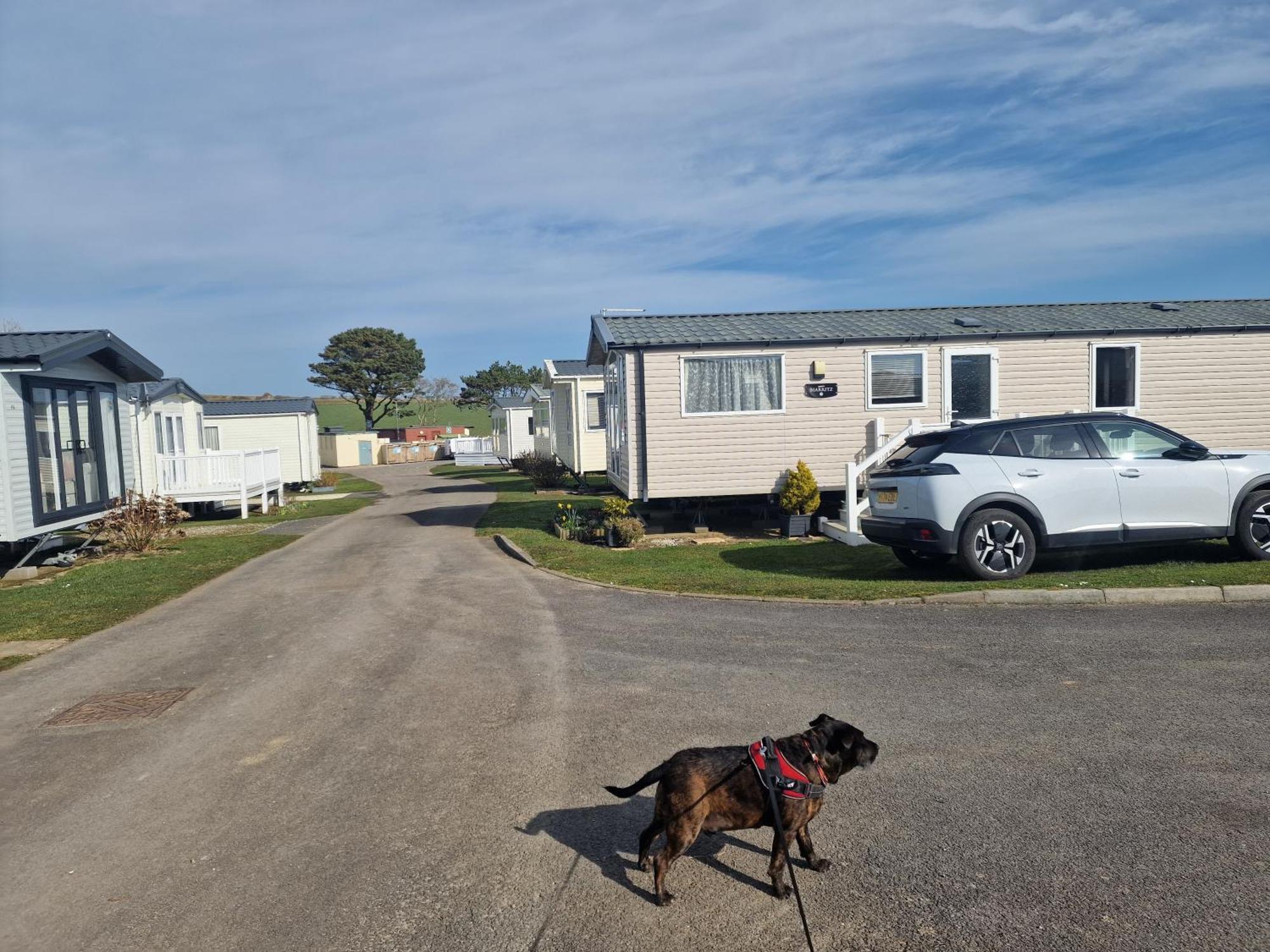 Durdlee Door, D27, Main Rd, West Lulworth, Wareham Bh20 5Pu Exterior foto